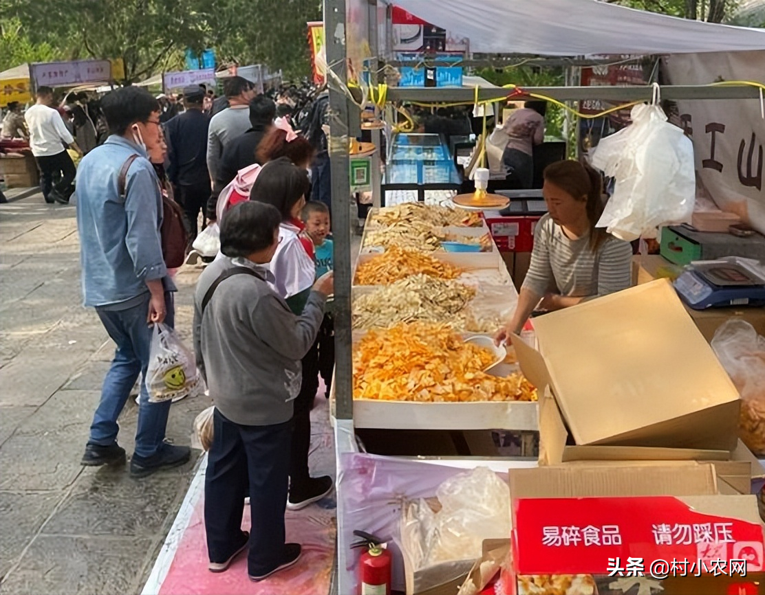 农村有哪些种植致富项目_致富种植农村项目有哪些项目_致富种植农村项目有哪些