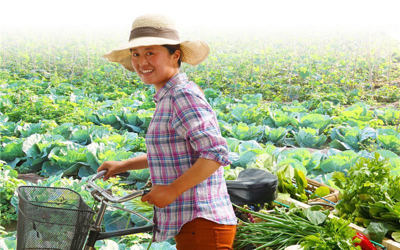 农村致富项目种植业_致富种植农村项目有哪些_农村有哪些种植致富项目