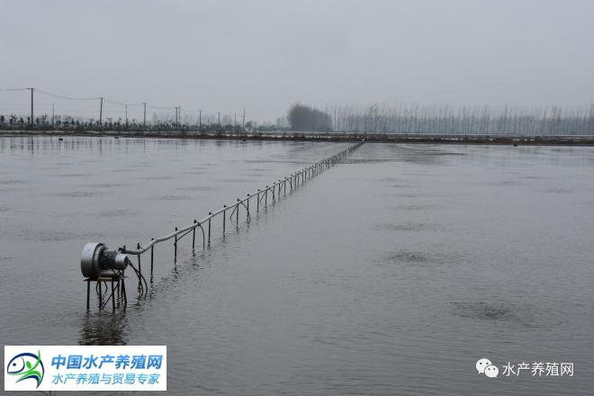 江苏河蟹养殖面积_江苏河蟹养殖基地_苏南地区河蟹养殖技术