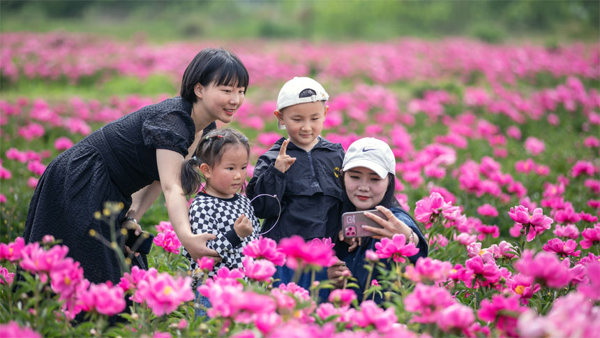 天麻种植致富案例_种植天麻的利润如何_2021年种植天麻前景如何