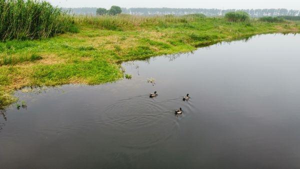 亲手挖开自家鱼塘，还湖后当起“湖管家”，桐湖渔民从“靠水吃水”到“守水护水”