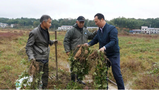 我的创业故事丨退役军人左新军：做新型职业农民，带村民脱贫致富