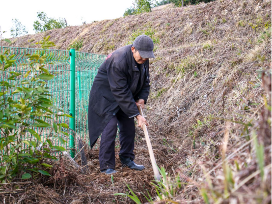 种植致富案例_种植致富典型故事_致富典型种植故事简介