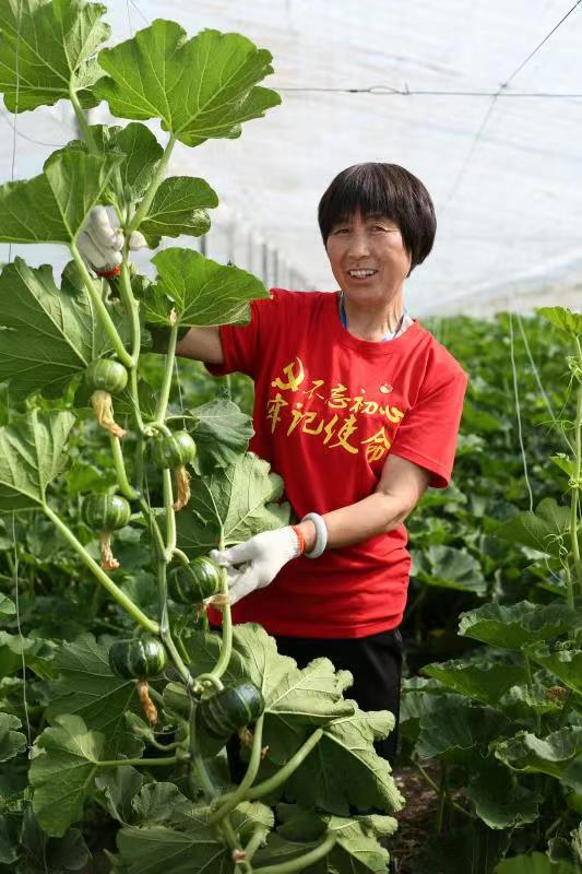 致富典型种植故事心得体会_种植致富案例_种植致富典型故事