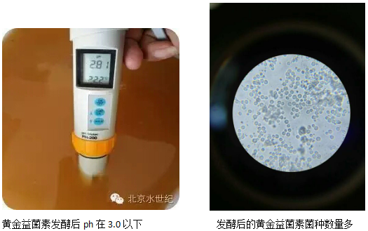 苏南地区河蟹养殖技术_江苏螃蟹养殖_江苏河蟹养殖基地