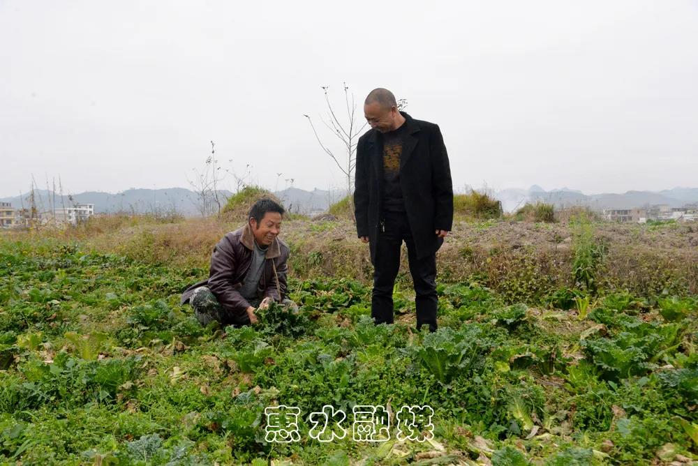 致富种植视频全集_致富典型种植故事有哪些_种植致富典型故事