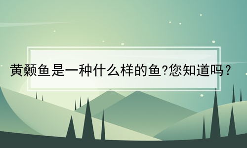 黄沙鱼养殖致富_致富养殖黄沙鱼赚钱吗_致富养殖黄沙鱼视频