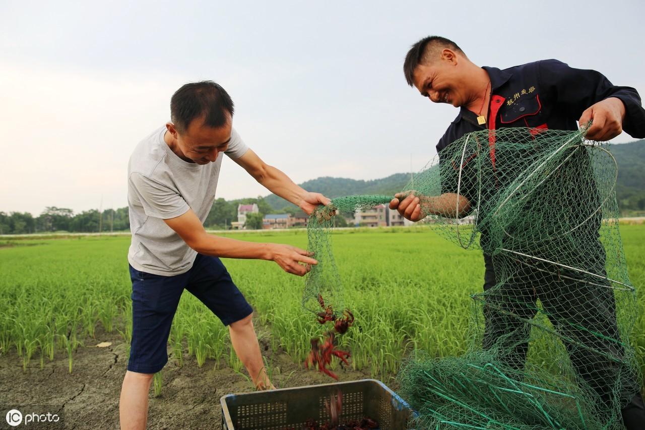 生财有道致富经创新_致富有道是什么生肖_致富有道不用猜猜生肖