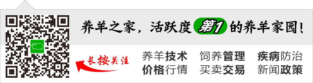 大尾寒羊养殖技术_小尾寒羊养殖视频_小尾寒羊养殖成本利润