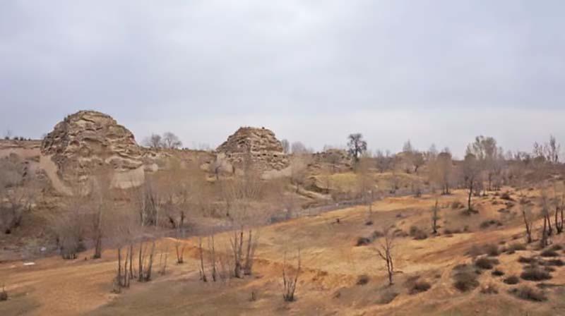 闲置土地种植致富_致富闲置种植土地的意义_闲置土地种什么赚钱