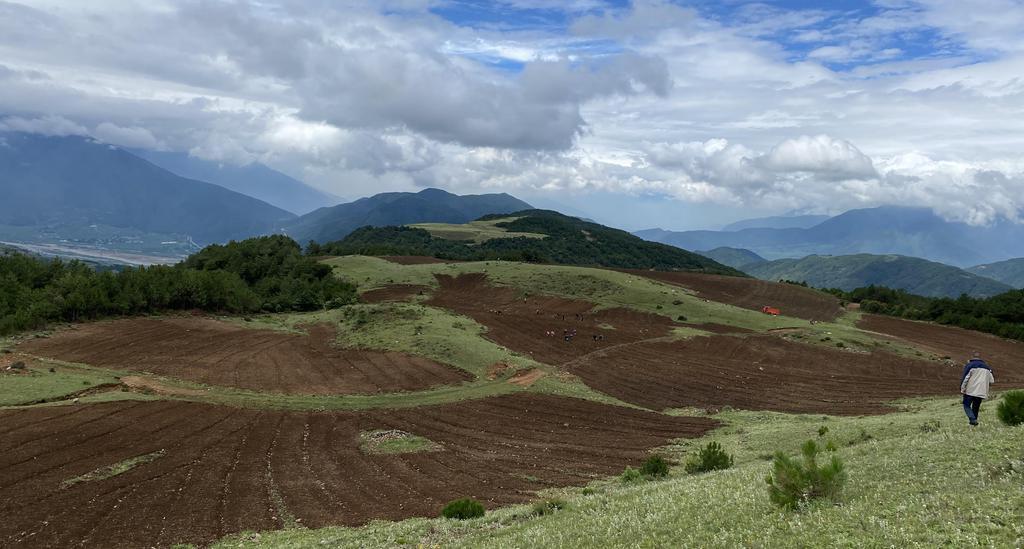 凉山：4000米高山种下2000亩致富中药材