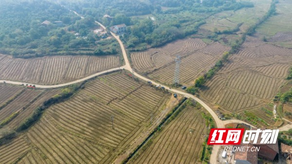 致富闲置种植土地合法吗_闲置土地种植致富_致富闲置种植土地的意义