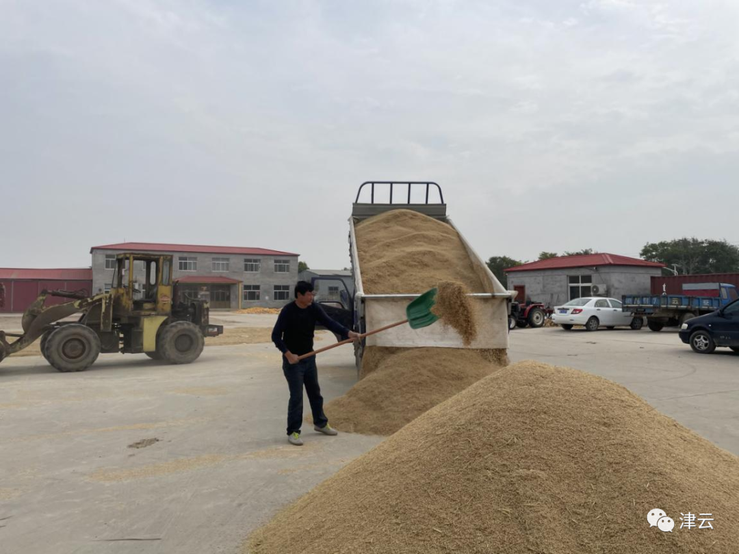 闲置土地种植致富_致富闲置种植土地的意义_致富闲置种植土地合法吗