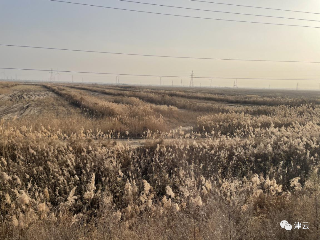 致富闲置种植土地合法吗_闲置土地种植致富_致富闲置种植土地的意义