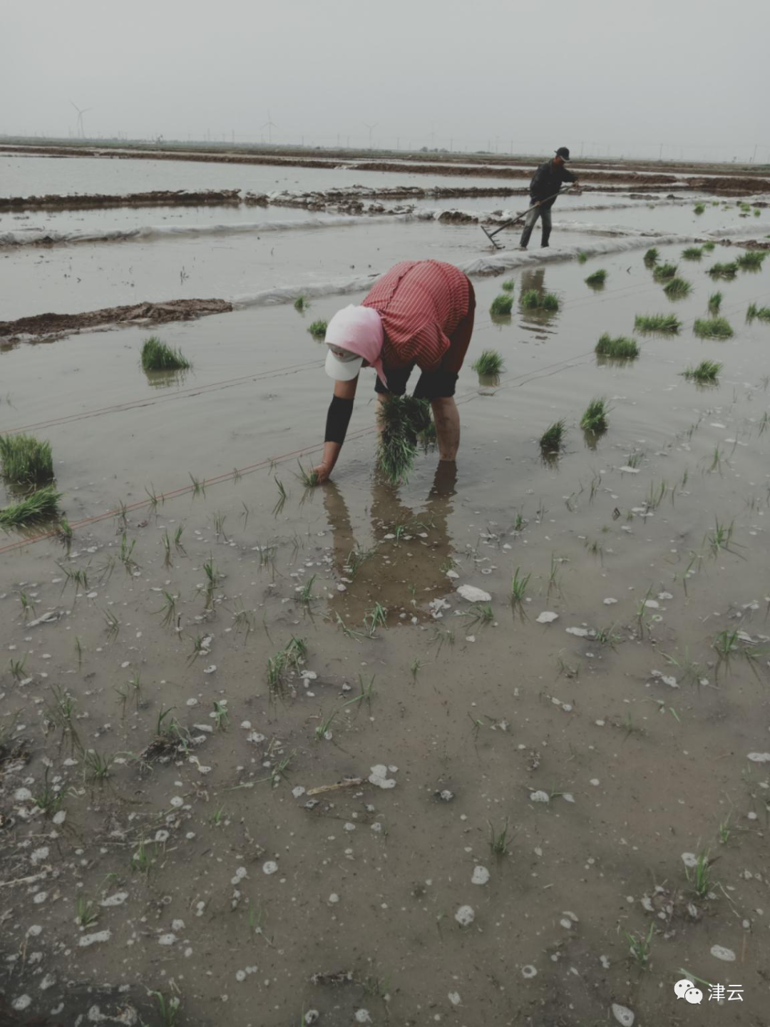 闲置土地种植致富_致富闲置种植土地的意义_致富闲置种植土地合法吗