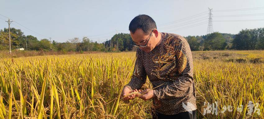 致富闲置种植土地违法吗_致富闲置种植土地合法吗_闲置土地种植致富