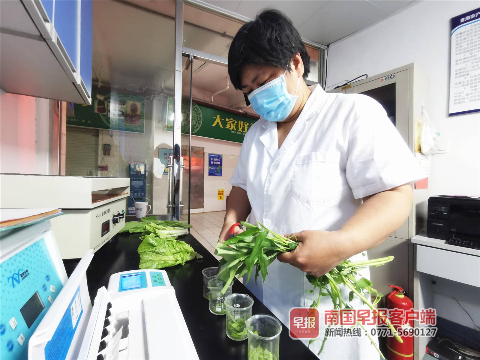 农产品检测合格才上市！广西进一步强化食品安全全链条监管