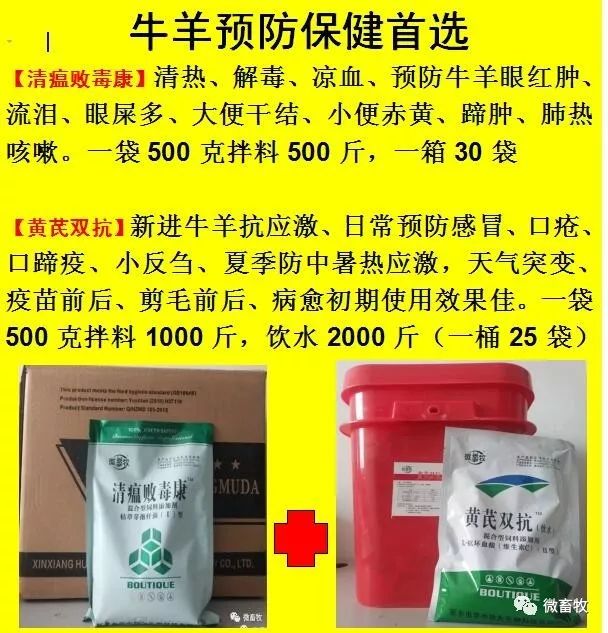 鲁西黄牛的养殖技术_鲁西黄牛养殖技术视频_鲁西黄牛养殖视频农广天地