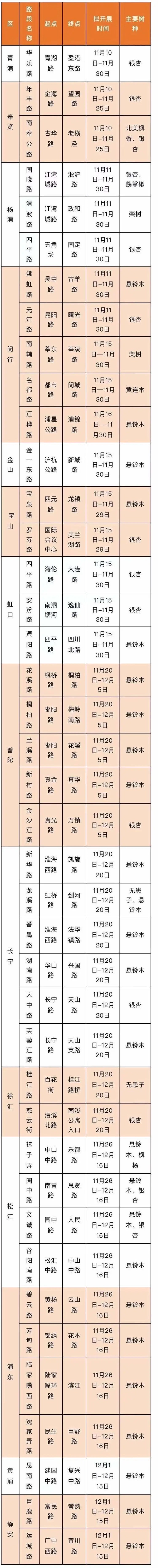 美国红枫种植技术_美国红枫种苗_种植美国红枫致富