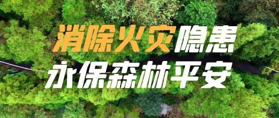 种植景观树致富_种植景观树经济前景如何_种植景观树赚钱吗