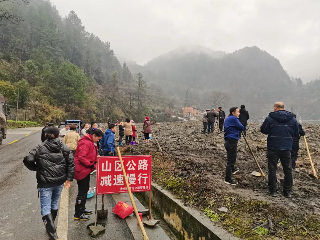 种植景观树经济前景如何_种植景观树致富_种植景观树赚钱吗