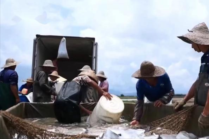 致富养殖厂_养殖致富门路_致富养殖项目