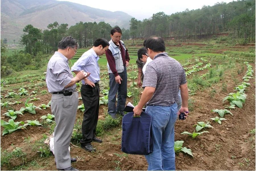 科技玫瑰种植农业技术研究_农业科技玫瑰种植技术_玫瑰种植技术资料