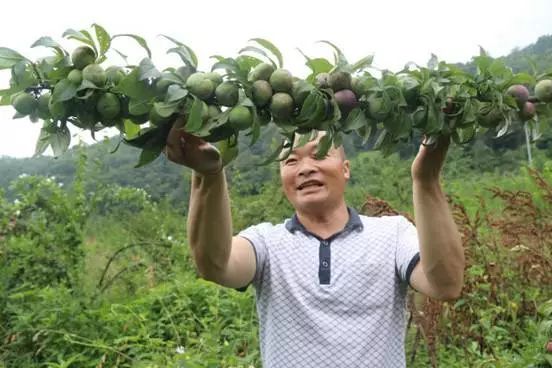 养殖视频致富经_湖北养殖致富故事_湖北养殖业什么最赚钱农村