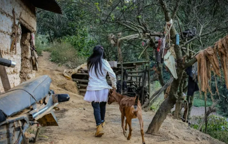 养蛇致富女蛇毒44亿_致富上面养蛇人说的是谁_致富经上面说的养蛇人