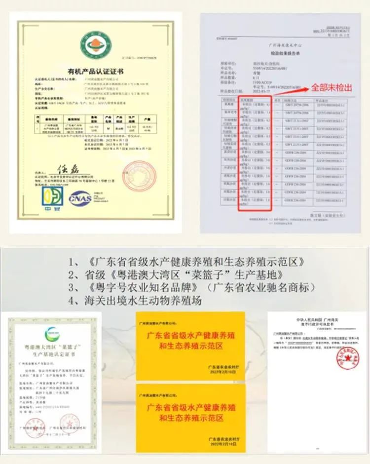 养青蟹赚钱吗_致富经养青蟹视频_养殖青蟹新技术