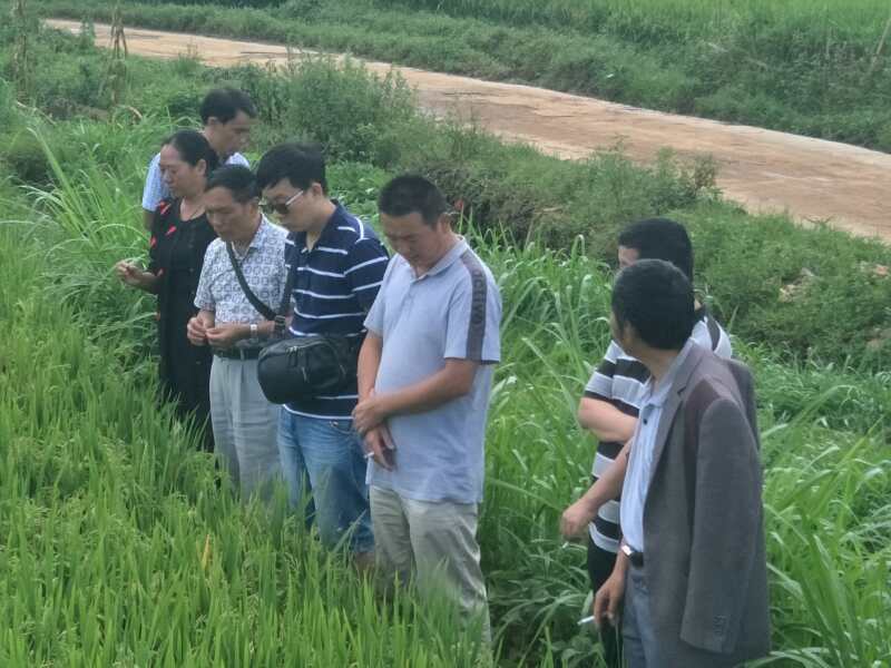 新手养殖致富机会_手机养殖赚钱项目_手机养殖赚钱