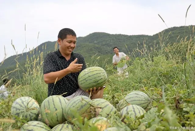 种西瓜撑握好4个要点，不赚钱都难，我试验3年都成功了