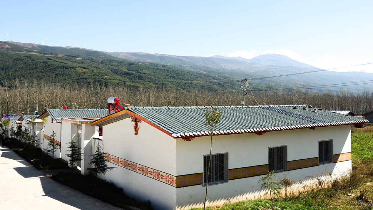 空房种植致富新闻_新闻致富种植空房怎么写_新闻致富种植空房子视频