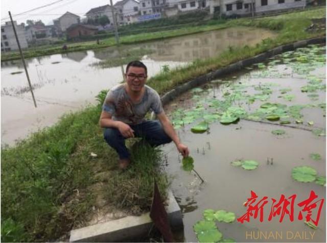 致富种植莲藕故事简介_莲藕种植致富故事_致富种植莲藕故事内容