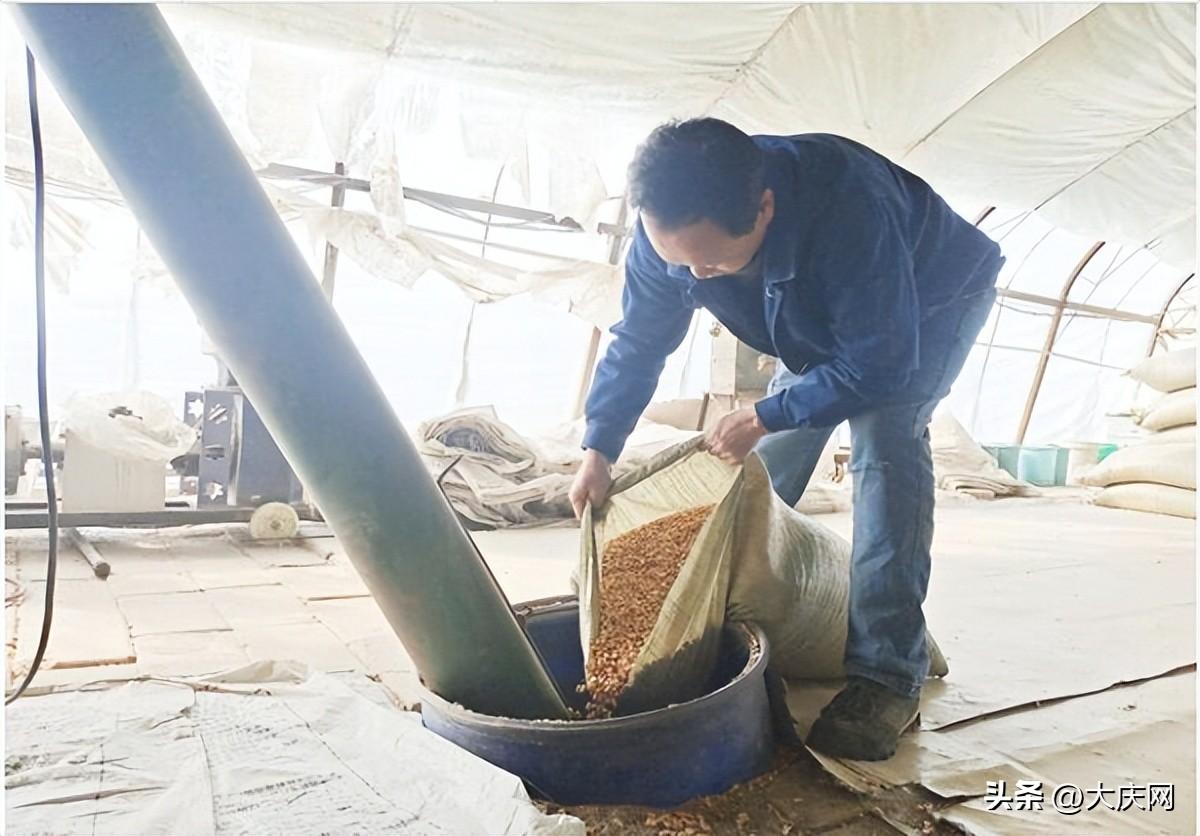 芦花鸡养殖技术视频_养殖芦花鸡500的利润_芦花鸡养殖视频致富经