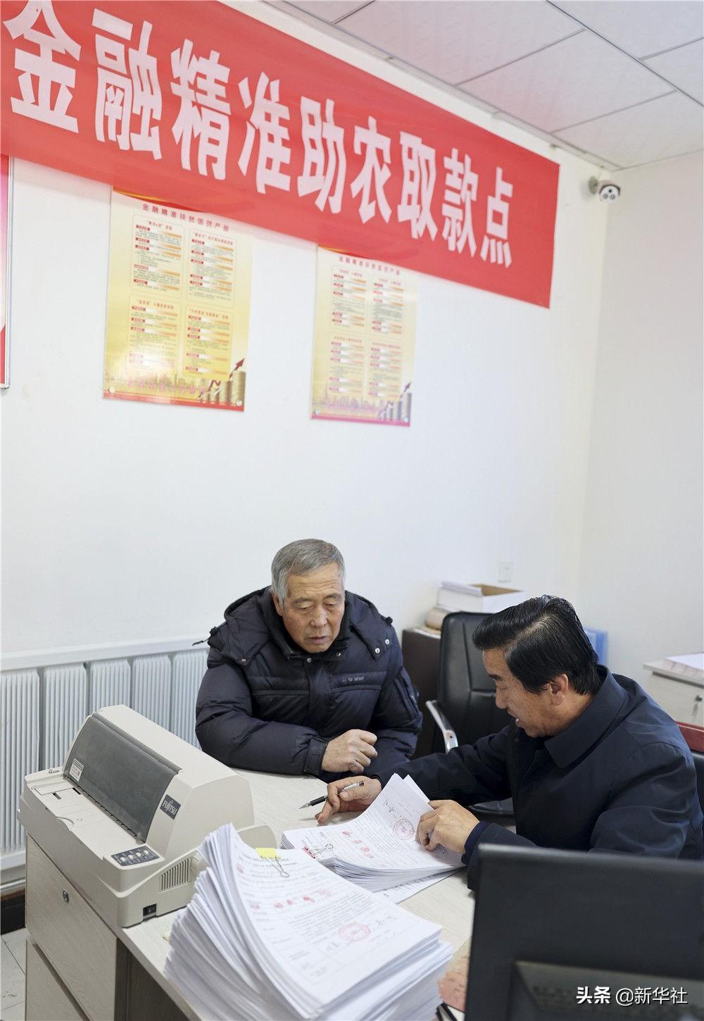 芦花鸡养殖成本_养殖芦花鸡500的利润_芦花鸡养殖视频致富经