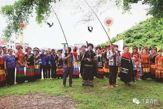 那坡种植致富故事_种植致富经_种植养殖致富的案例