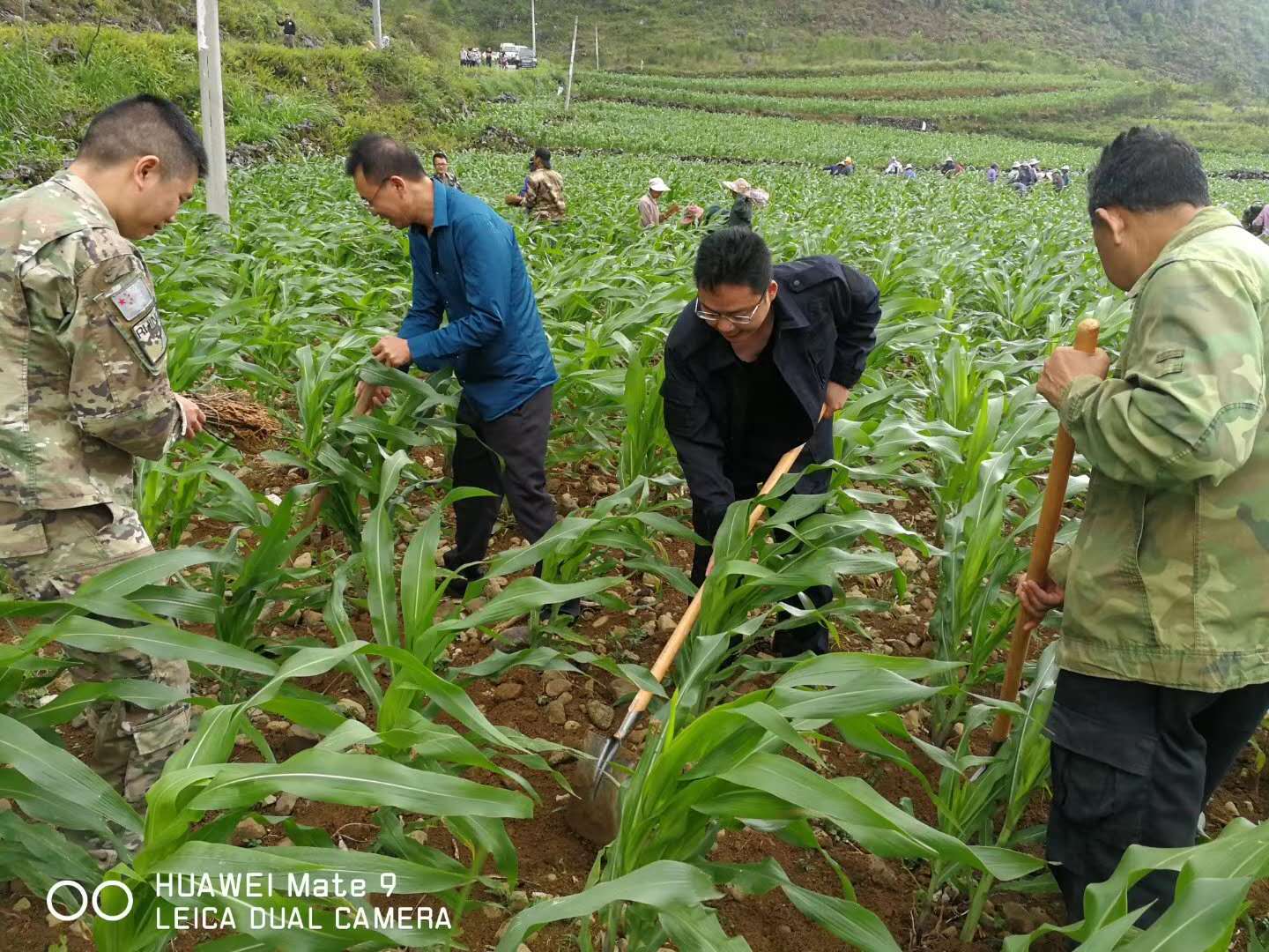 种植致富案例_种植养殖致富的案例_那坡种植致富故事