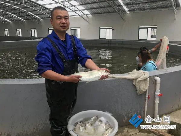 致富养殖人工地点有哪些_致富养殖项目_人工养殖致富地点