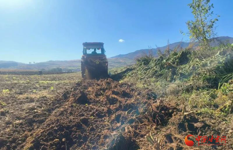 致富养殖汉中种植什么_致富养殖汉中种植什么最好_汉中种植养殖致富