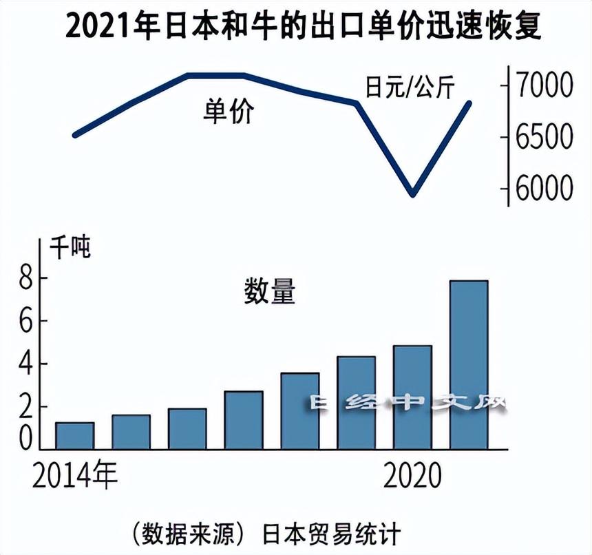 美国养牛经验_美国和牛养殖技术_美国牛养殖场