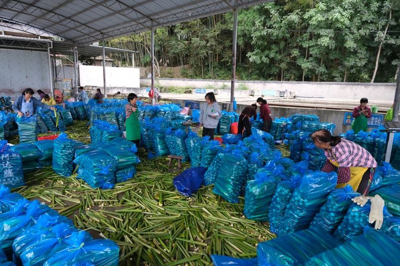 科技养殖致富故事_致富养殖视频_养殖视频致富经