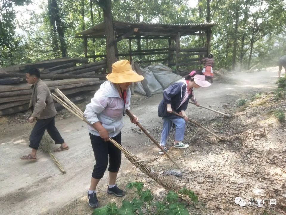 养殖黑蚂蚁致富_黑蚂蚁养殖技术视频_黑蚂蚁养殖骗局