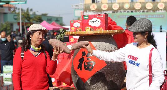 “小番薯”做成“大文章”稳村唱响“致富经”