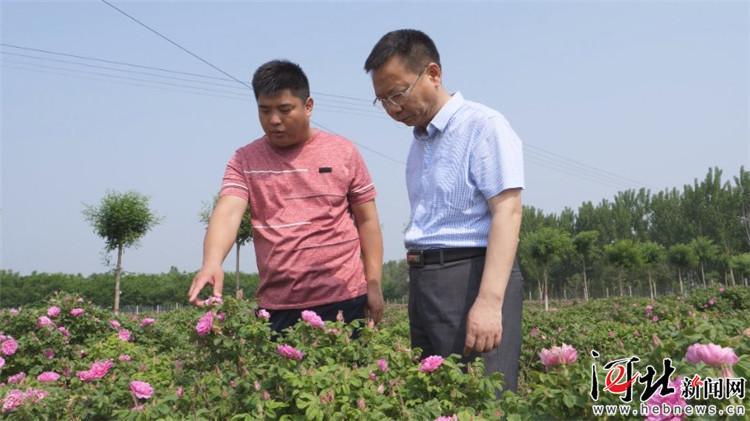 农民种植致富_农村致富种_耕种种植致富