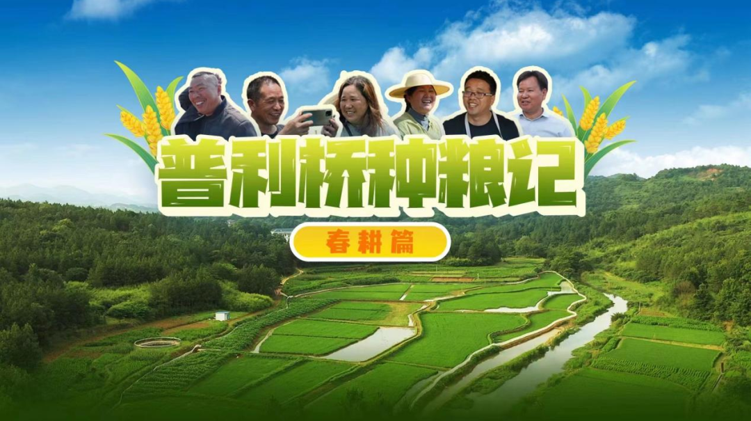 冷水滩区：党旗引领新“稻”路，生态种养好“丰”景