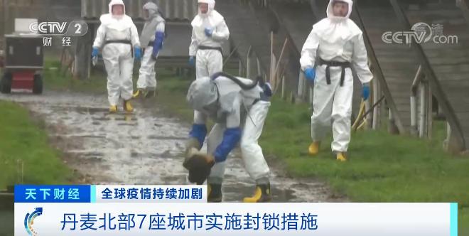 视频养殖水貂技术新闻稿_水貂养殖设备_水貂养殖新技术视频