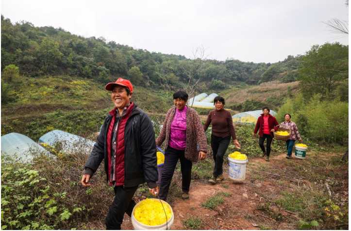 在湖北养殖什么好_湖北养殖业什么最赚钱农村_湖北女人养殖致富