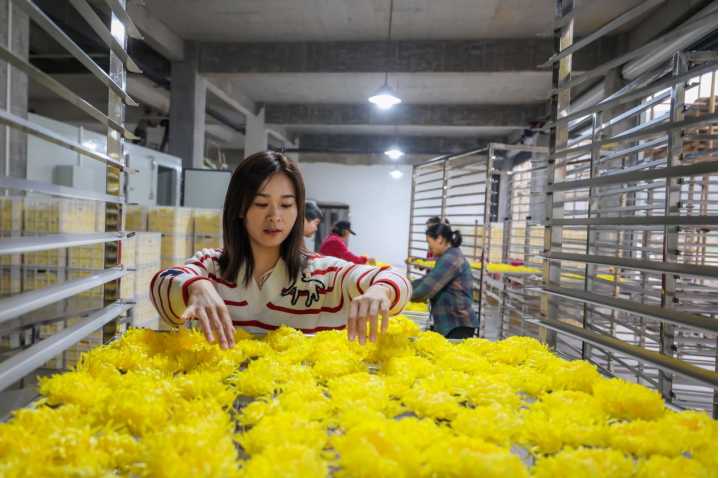 湖北养殖业什么最赚钱农村_湖北女人养殖致富_在湖北养殖什么好