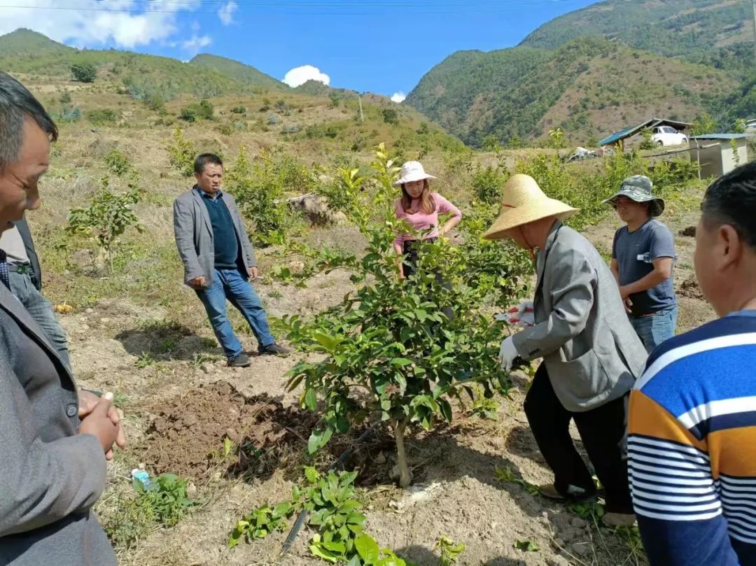 养殖肉食牛的利润_肉牛养殖增收致富_养殖肉牛效益